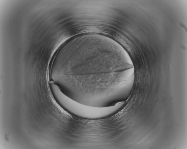 X0000097791084200803281718