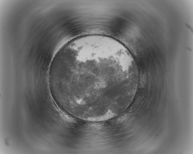 X0000097791086200803281718