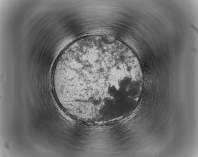 X0000097791087200803281718