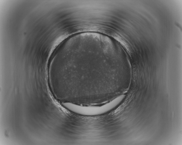 X0000097791088200803281718