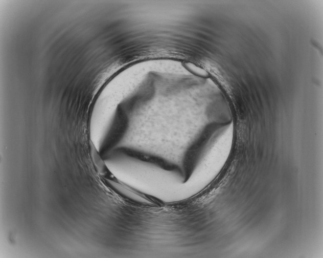 X0000097791089200803281718