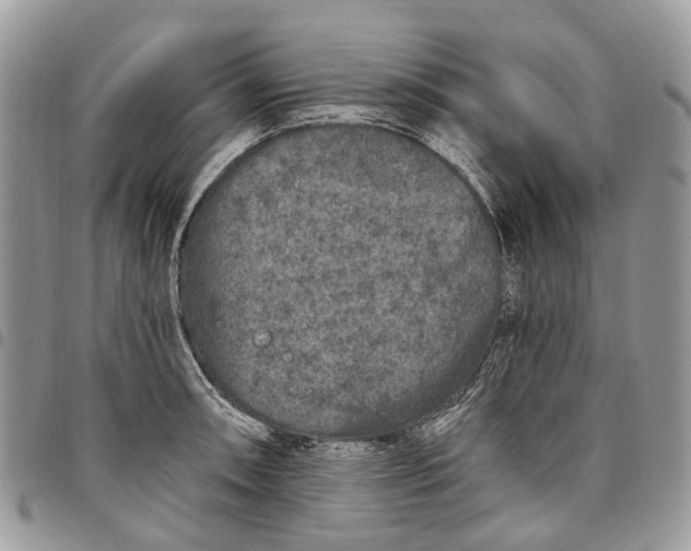 X0000097791090200803281718