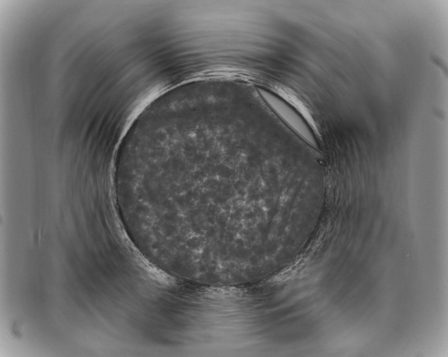 X0000097791091200803281718