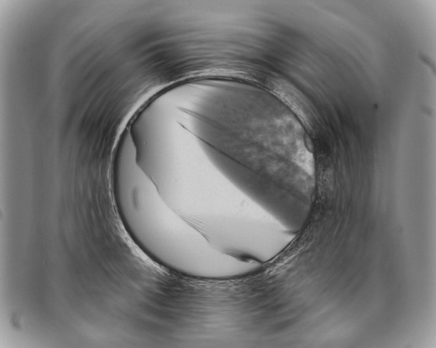 X0000097791092200803281718