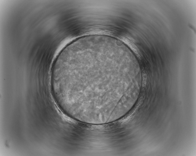 X0000097791094200803281718