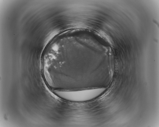 X0000097791095200803281718
