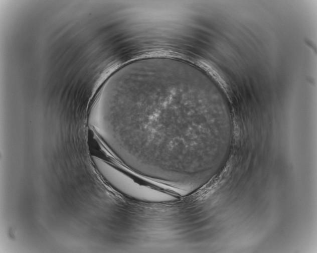 X0000097791097200803281718