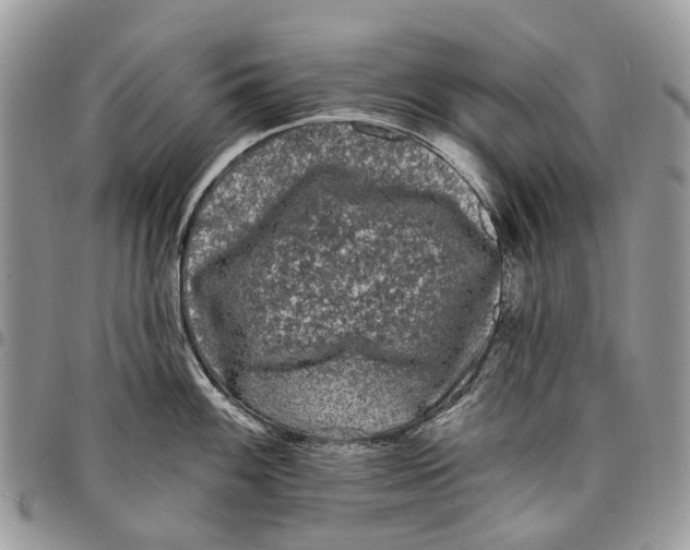 X0000097791100200803281718