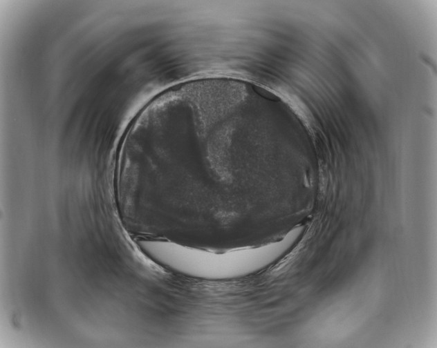 X0000097791102200803281718