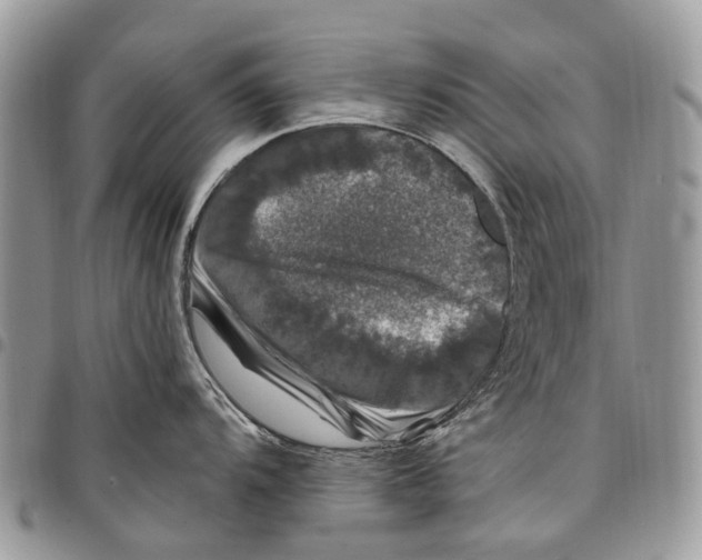 X0000097791104200803281718