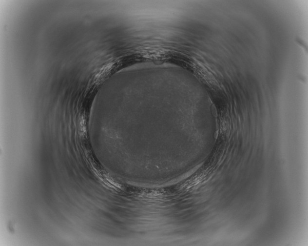 X0000097791106200803281717