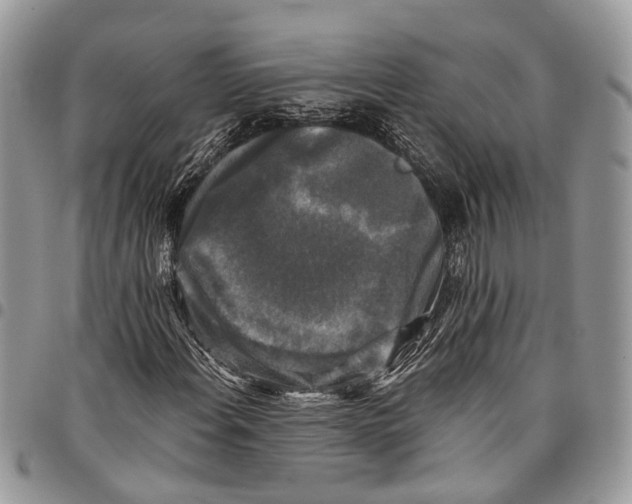 X0000097791108200803281717