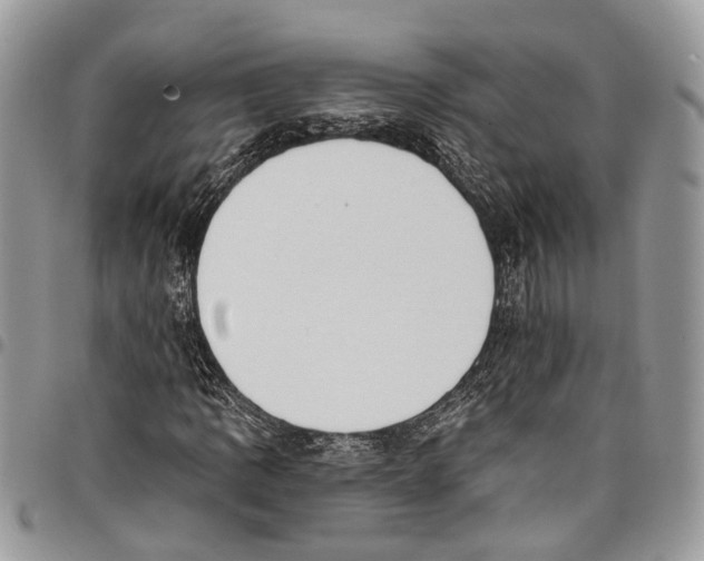 X0000097791109200803281717