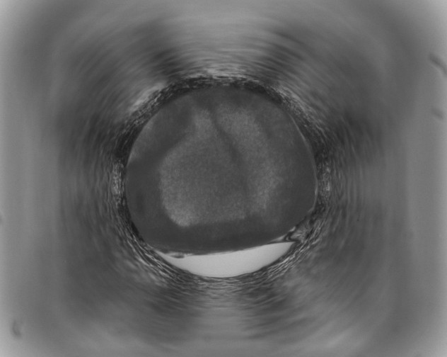 X0000097791110200803281717