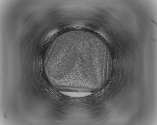 X0000097791111200803281717