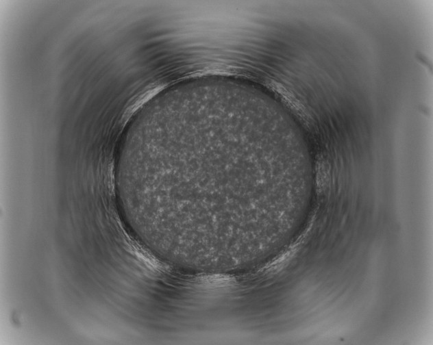 X0000097791113200803281717