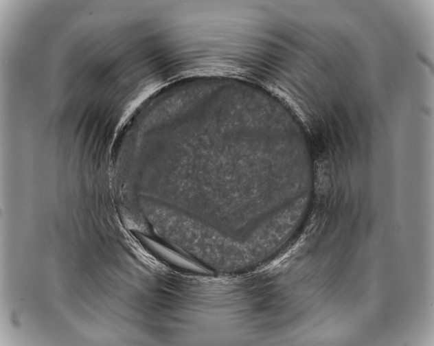 X0000097791114200803281717