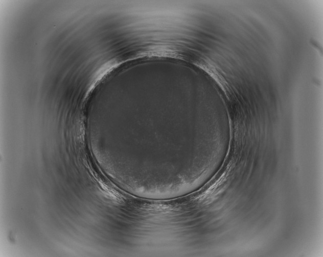 X0000097791115200803281717