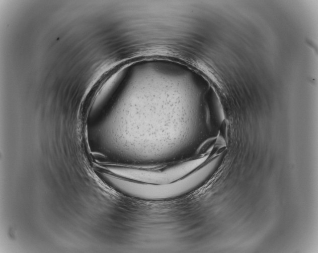X0000097791116200803281717