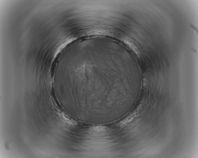 X0000097791117200803281717