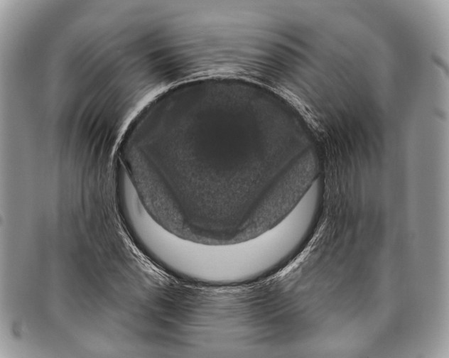 X0000097791118200803281717