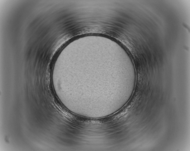X0000097791119200803281717