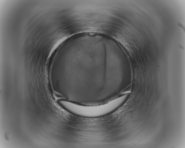 X0000097791120200803281717