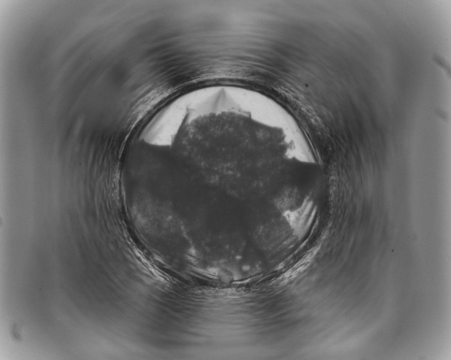 X0000097791121200803281717