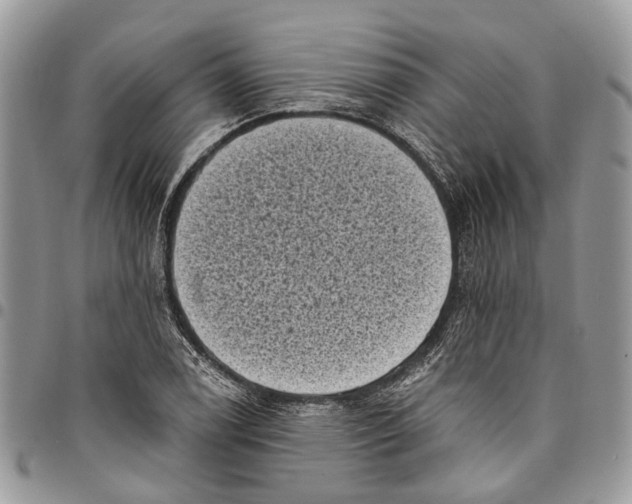 X0000097791122200803281717