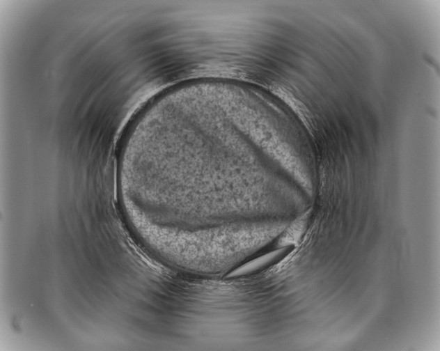 X0000097791123200803281717