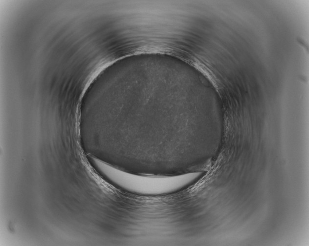 X0000097791124200803281717
