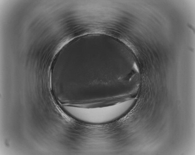 X0000097791127200803281717