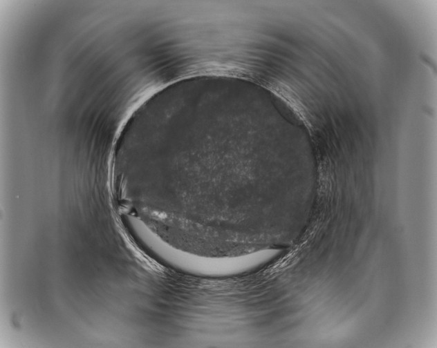 X0000097791128200803281717
