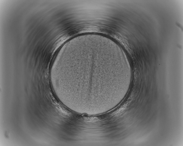 X0000097791129200803281717