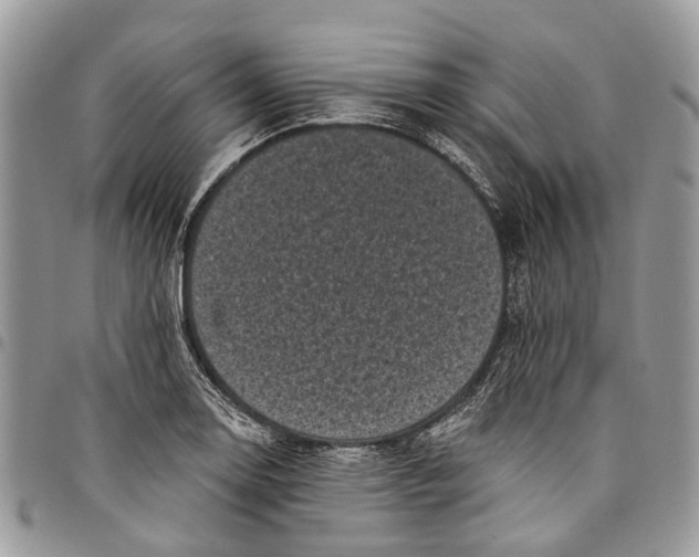 X0000097791130200803281717