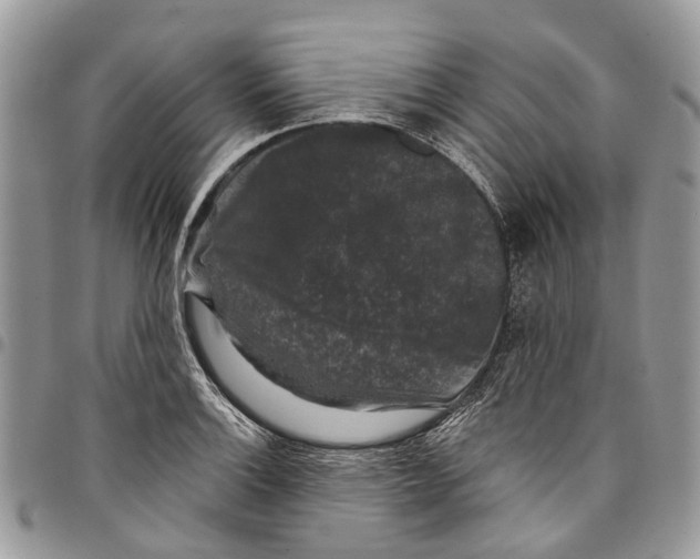 X0000097791132200803281717