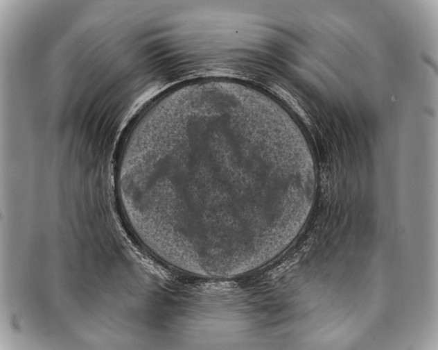 X0000097791133200803281717