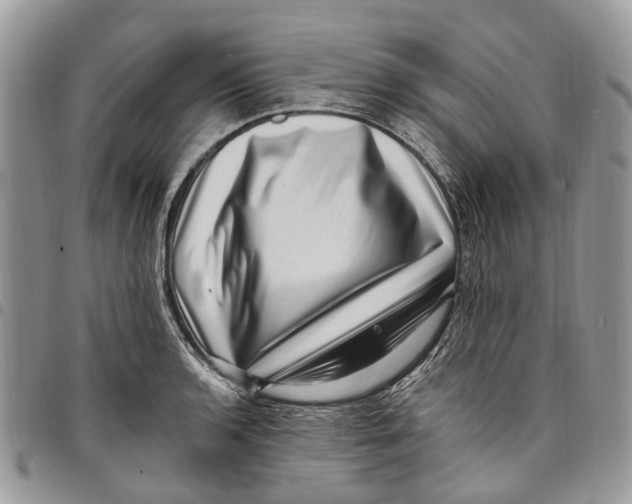 X0000097791136200803281717
