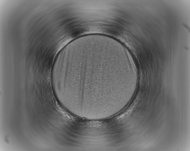 X0000097791137200803281717