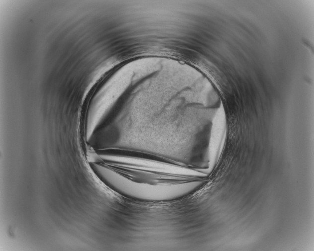 X0000097791139200803281717