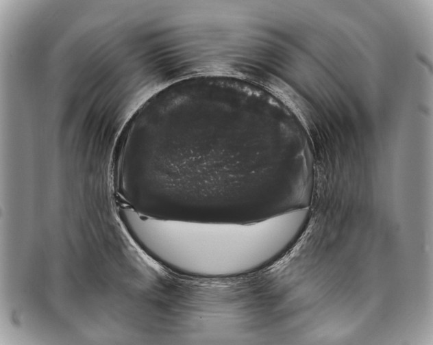 X0000097791141200803281718