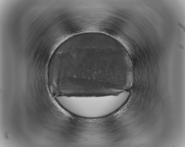 X0000097791142200803281718