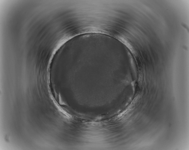 X0000097791144200803281718