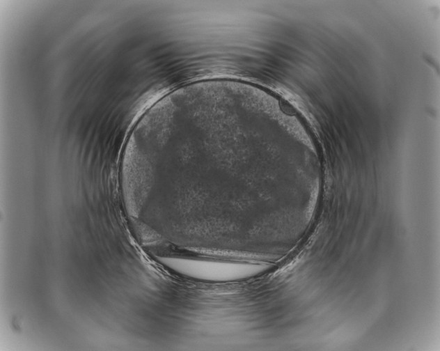 X0000097791145200803281718