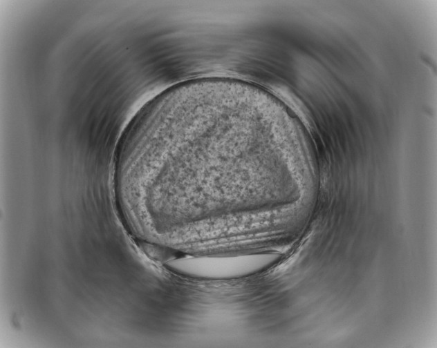 X0000097791149200803281718