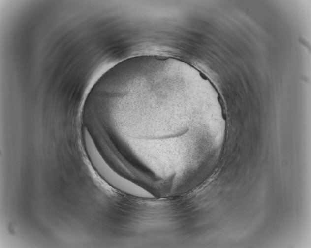 X0000097791152200803281718