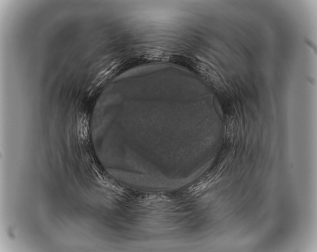 X0000097791154200803281717