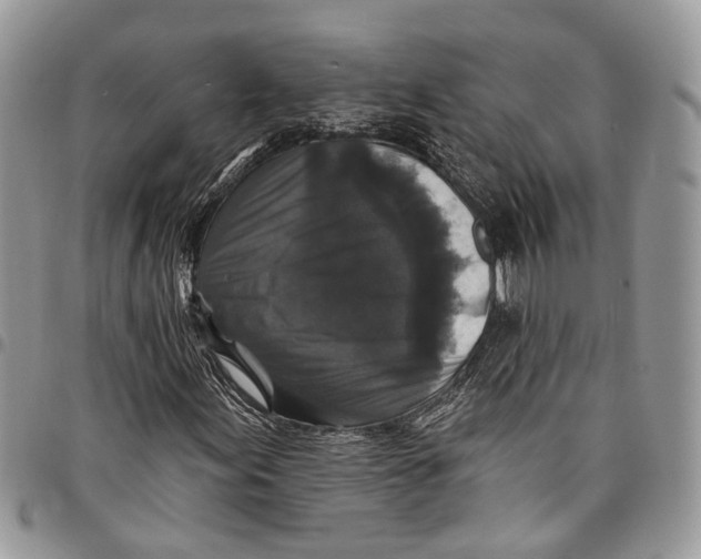 X0000097791155200803281717