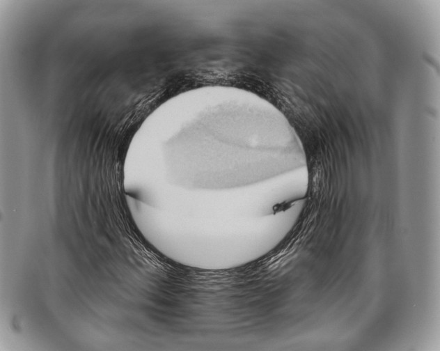 X0000097791156200803281717