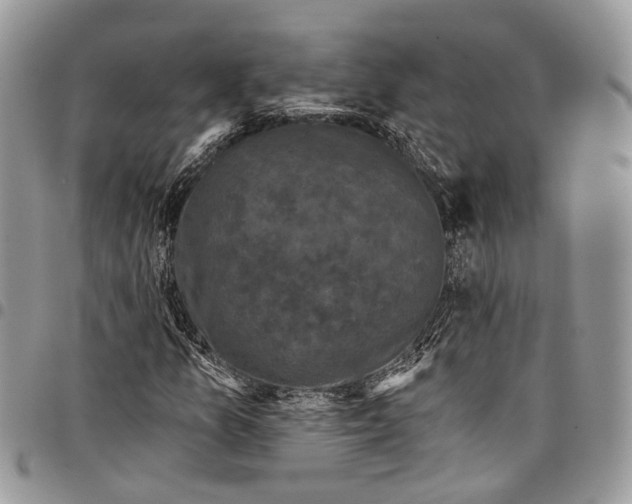 X0000097791157200803281717